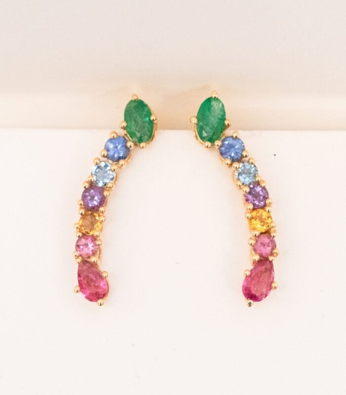 Pendientes Trepadores Multicolor