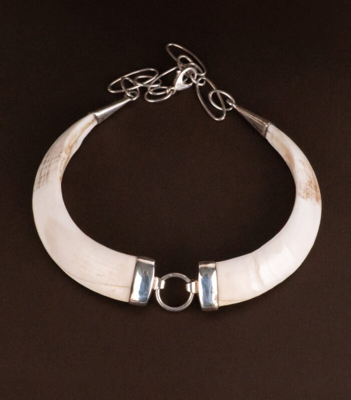 Collar Animal Kingdom